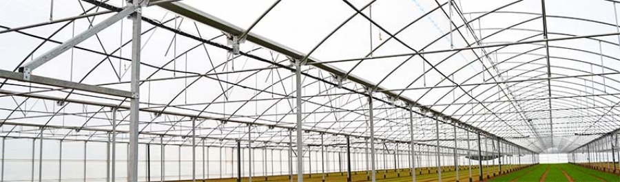 How to choose the best plastic for a Greenhouse?